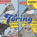 이화원어민중국어학원 | [홍대 중국어 회화 학원 토링] 你吃饭了吗？