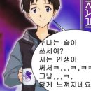 회뜨는돼지