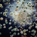 푸른환경발효산업 이미지