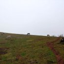 제주 올레길 14-1코스 이미지