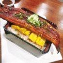 윤포차연어참치초밥 | 보라매공원 맛집 일식당 갓파도 장어덮밥 스페셜초밥 후기