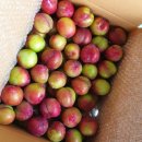 대석농장 이미지