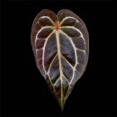 순자농장 | 플랜트코드팜 방문후기