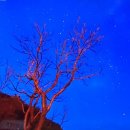 오동나무집 이미지