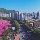 도장중 앞 이미지