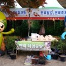 장성백양농원 이미지