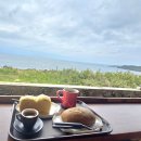 서귀포약국 | 4월 제주여행 후기｜서귀포 위미리 벚꽃·동백·카페·감성 숙소까지 완벽 코스