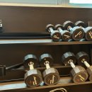 비베호디에 이미지