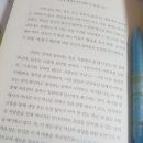 새빛상사