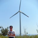 청송(영덕) 이미지