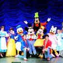 Disney Live Magic Show 이미지