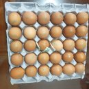 주령축산 이미지