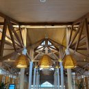 동쓰푸드 | [여행/호주] 야생 캥거루가 뛰노는 노보텔 선샤인코스트 리조트 추천후기