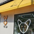 룽지살롱 | 장유율하 애견미용 잘하는곳 찾았다!! 룽지살롱 애견미용 대만족 후기