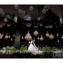 라벨르(la belle) 이미지