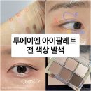 엔에이엔 | 2an 투에이엔 베러 미 아이팔레트 :: 여쿨라 쿨톤섀도우 전색상 손목발색 및 화장후기