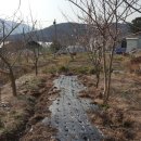 명숙농장 이미지