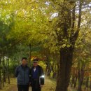 비룡당구장 이미지