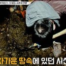정욱채