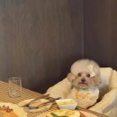 모퉁이주방 이미지