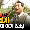 율원3천 이미지