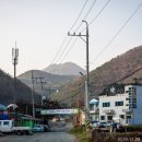 내덕여자경로당 | 용이 살았다고해서 용담골 이라고도 부르는 장안읍용소리에는수령340년된 보호수인 팽나무가 있으며...