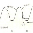 ♡가을감자 재배기술 이미지