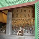 GS25 가평조종점 | 서울 근교 템플스테이 가평 대원사 체험형 템플스테이 후기