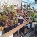 관용농장 이미지