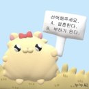 OK | [W-04] 대구 다이렉트 결혼준비 OK 웨딩 박람회 후기