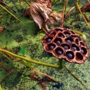 연자농장 이미지