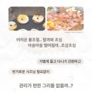 에코스타 네이버블로그