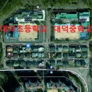 대덕초등학교 담장  이미지