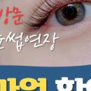 노브살롱 이미지
