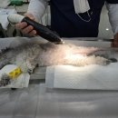 용문조아동물병원 이미지