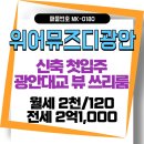 위어뮤즈 금빛부동산 공인중개사사무소 | [수영구 광안동]광안역 금련산역 광안대교뷰 신축 첫입주 풀옵션 쓰리룸 위어뮤즈디광안/전세 월세