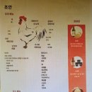 썬로드 | 썬로드 신시가이 아케이드 이자카야 찾다 만난 초안 / 야키토리 토리안 / 구마모토여행 1일차