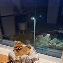 고즈넉한주문 이미지