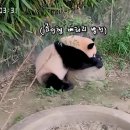 중국 상하이 생활 594일차 38도 상하이 여름, 마작 구매, 프로크리에이트 브러쉬