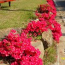 명인상사 이미지