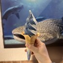 와야경로당 | 오사카 아쿠아리움 가이유칸 수족관(해유관) 10시 입장, 2시간 관람 후기 / 예약방법