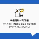 춘천아모레 이미지