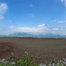 해안서로 이미지