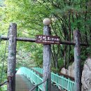 환선로 이미지