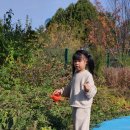 모빌랜드 | 5살 아이와 독일 플레이모빌 펀 파크 (Playmobil FunPark) 방문 후기 (레고랜드와 비교)
