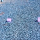 목포애향초등학교 이미지