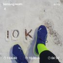 환희다방 | 긴팔 상의에 하복 반바지 (매그맥스나이트로 700km 러닝 후기)