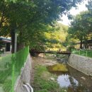 송골농장 이미지