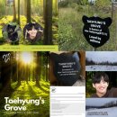 태형안전 이미지