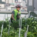 시흥1동 주민센터 이미지